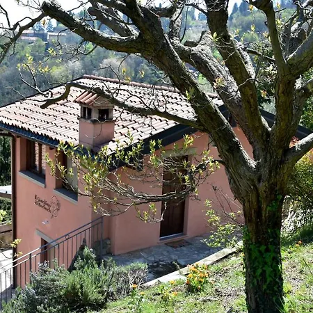 Il Giardino Di Berbech Citta Alta-ulivo Apartment