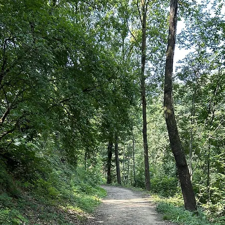 Il Giardino Di Berbech Citta Alta-ulivo * Bérgamo