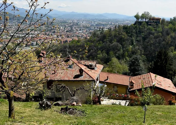 Il Giardino Di Berbech Citta Alta-ulivo Lägenhet