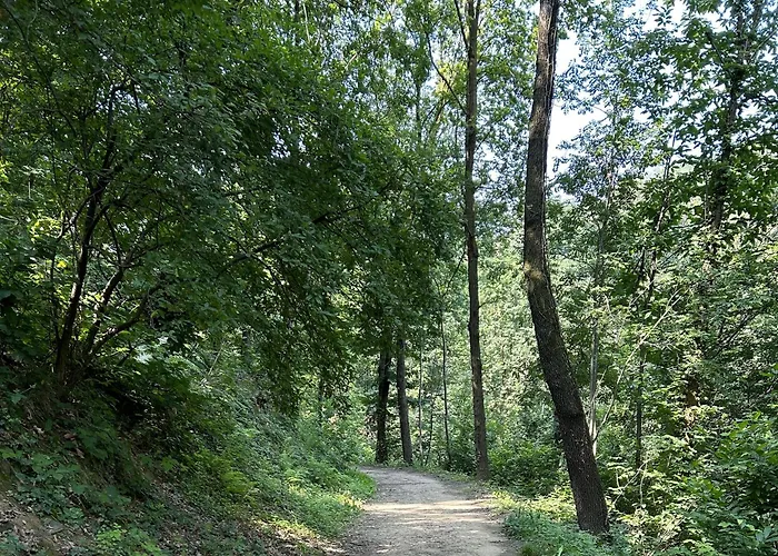 Il Giardino Di Berbech Citta Alta-ulivo * Bergamo